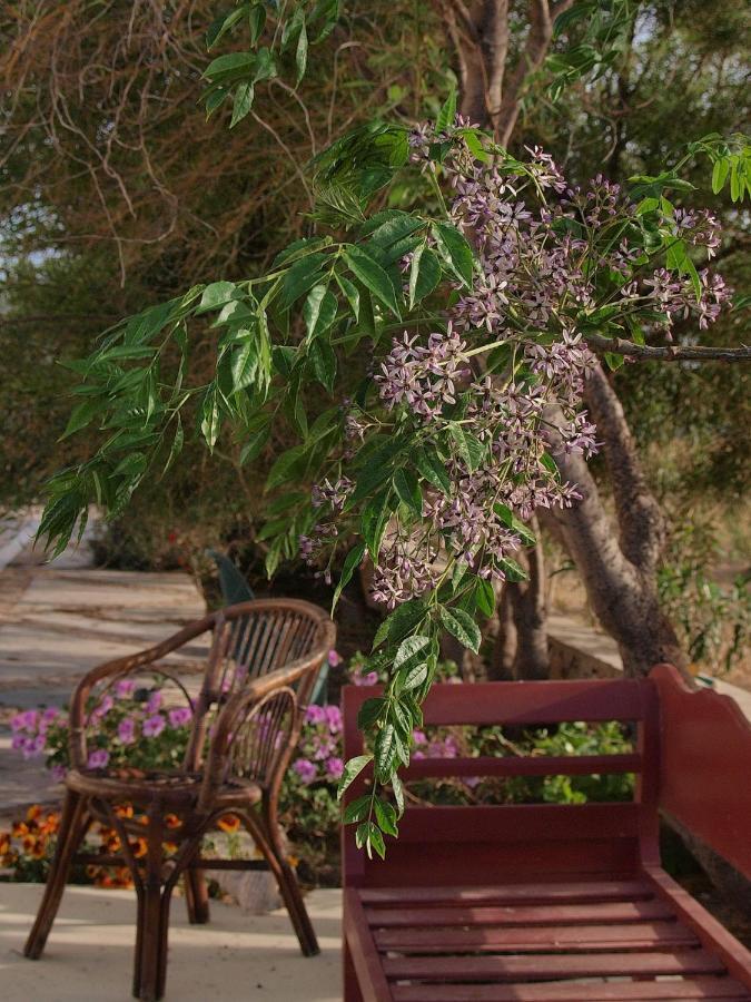 Flower And Crafts - The Eco Nature House Монолитос Екстериор снимка